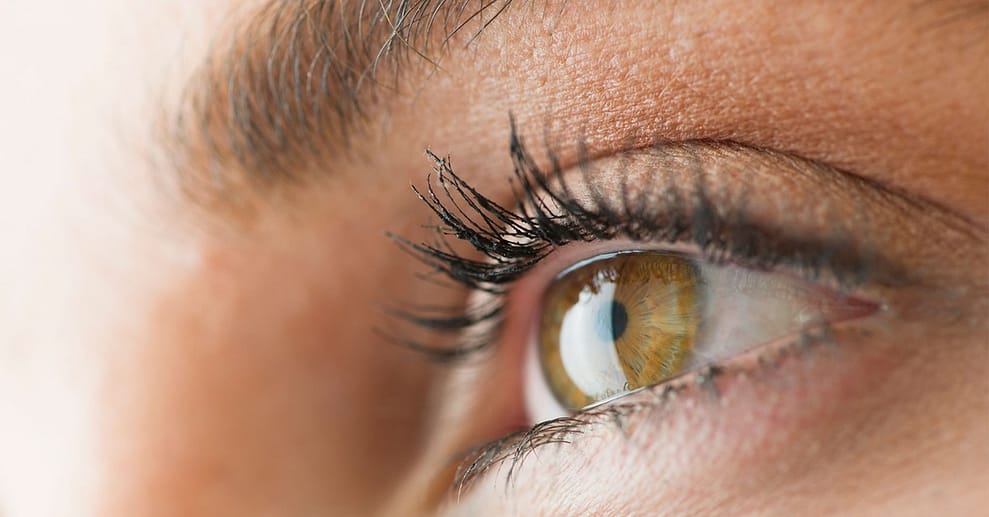 Wimpern-Lifting inkl. Färben Stuttgart OXGE.com Special Offers, Deals & Discounts in Germany