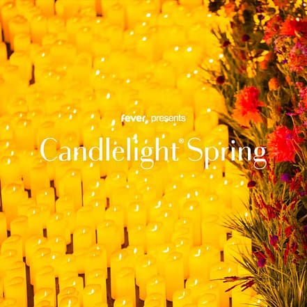 Candlelight Spring: Ed Sheeran Meets Coldplay at Salles de Pologne, Leipzig, Germany OXGE.com Special Offers, Deals & Discounts in Germany