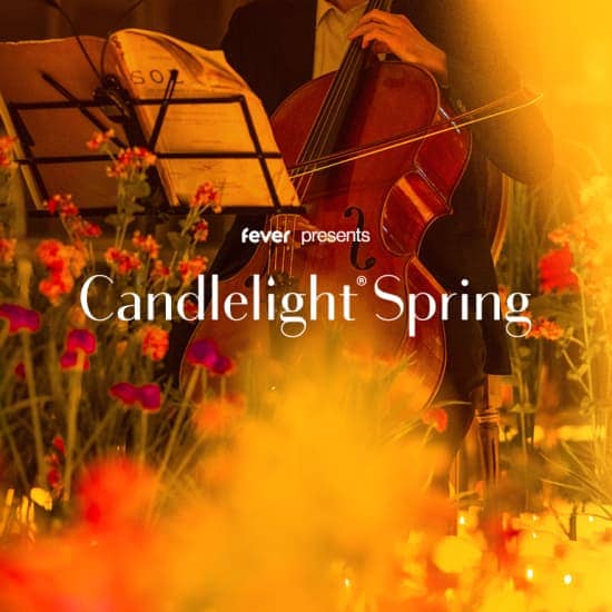 Candlelight Spring: Ed Sheeran Meets Coldplay at Salles de Pologne, Leipzig, Germany