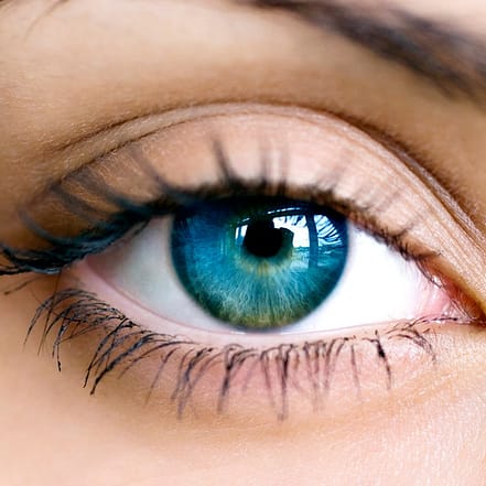Wimpernlifting inkl. Färben Berlin OXGE.com Special Offers, Deals & Discounts in Germany