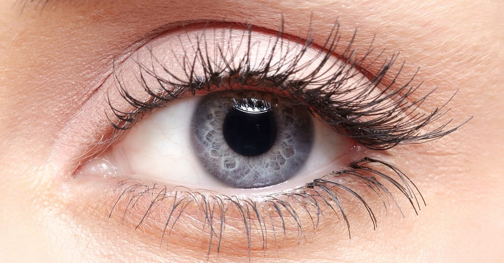 Wimpern- bzw. Augenbrauen-Lifting Leipzig/Halle OXGE.com Special Offers, Deals & Discounts in Germany