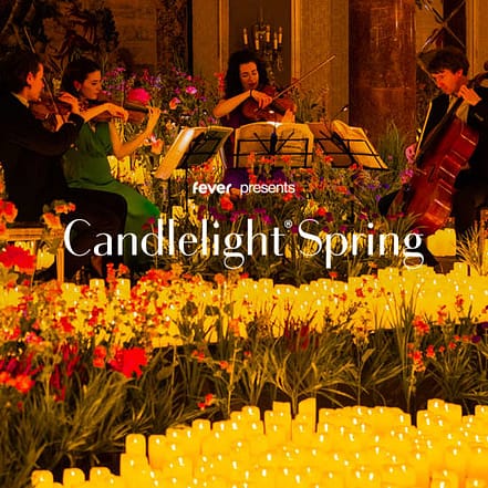 Candlelight Spring: Vivaldis „Vier Jahreszeiten“ at St Michaeliskirche, Braunschweig, Germany OXGE.com Special Offers, Deals & Discounts in Germany