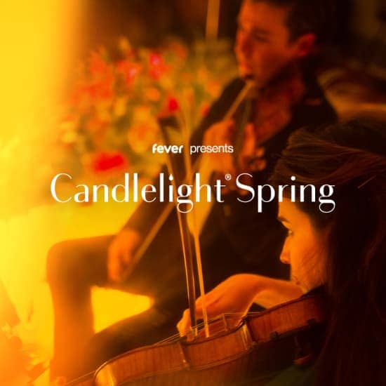 Candlelight Spring: Vivaldis „Vier Jahreszeiten“ at St Michaeliskirche, Braunschweig, Germany