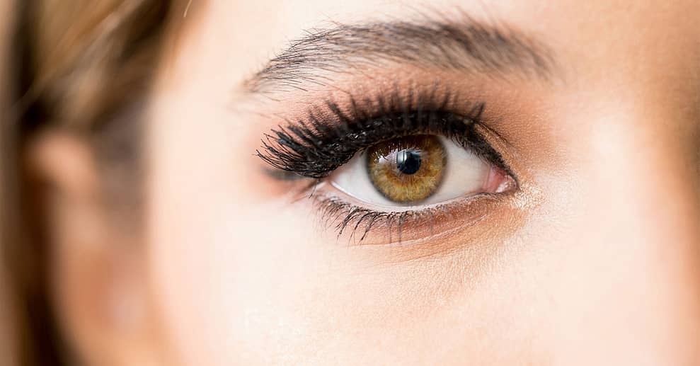 Bis zu 46% Rabatt auf den Wimpernwelle bei Haselnuss Honigblond Friseure Frankfurt OXGE.com Special Offers, Deals & Discounts in Germany