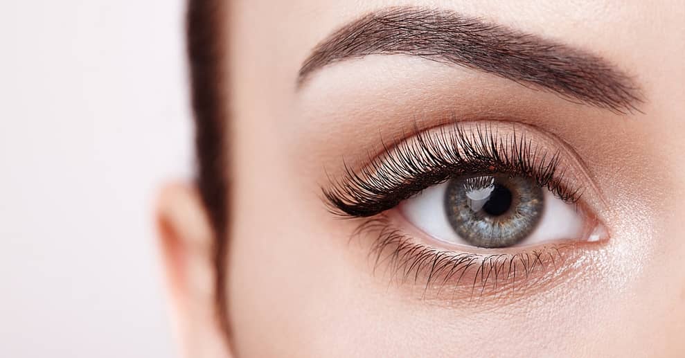 1 oder 2 Wimpernliftings inkl. Färben für 1 Person Hamburg OXGE.com Special Offers, Deals & Discounts in Germany