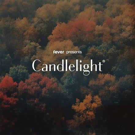 Candlelight: Hommage an Ludovico Einaudi at Senftöpfchen Theater, Cologne, Germany OXGE.com Special Offers, Deals & Discounts in Germany