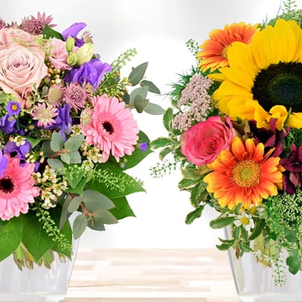 Wertgutschein Blumen & Pflanzen National Deal OXGE.com Special Offers, Deals & Discounts in Germany