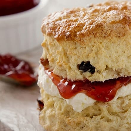 Cream oder Royal Tea in der Bristol Lounge & Eatery Berlin OXGE.com Special Offers, Deals & Discounts in Germany