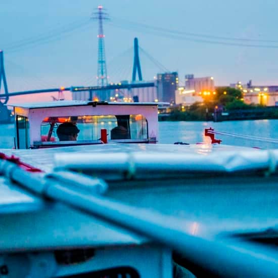 Hamburger Hafen: 90-minütige Lichterfahrt auf Deutsch at Landungsbrücken, Hamburg, Germany