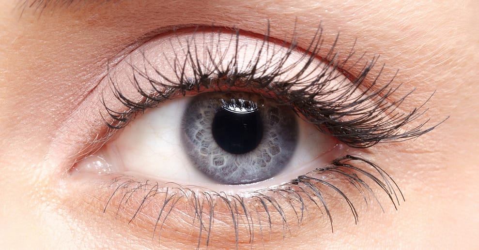 Lash-Laminierung für Wimpern Mannheim OXGE.com Special Offers, Deals & Discounts in Germany