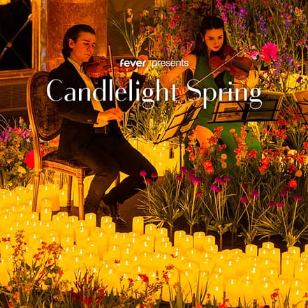 Candlelight Spring: Vivaldis „Vier Jahreszeiten“ at MARKK Museum am Rothenbaum, Hamburg, Germany OXGE.com Special Offers, Deals & Discounts in Germany