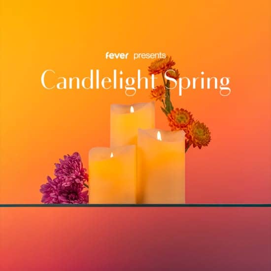 Candlelight Spring: Vivaldis „Vier Jahreszeiten“ at MARKK Museum am Rothenbaum, Hamburg, Germany
