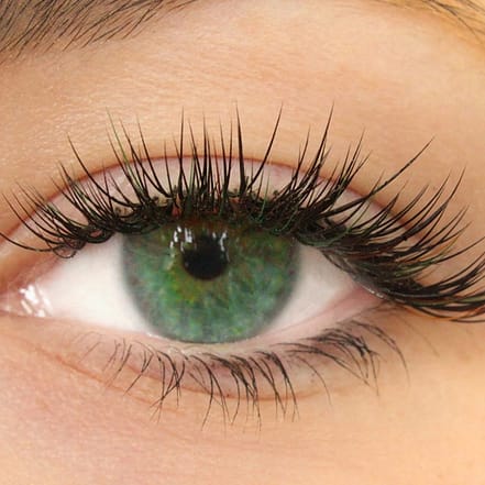 Wimpernwelle, Leipzig/Halle OXGE.com Special Offers, Deals & Discounts in Germany