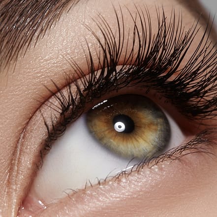 Volumen-Wimpernverlängerung Frankfurt OXGE.com Special Offers, Deals & Discounts in Germany