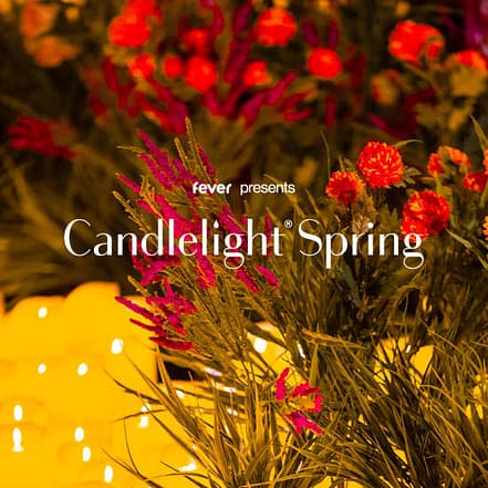 Candlelight Spring: Queen vs. ABBA at MARKK Museum am Rothenbaum, Hamburg, Germany OXGE.com Special Offers, Deals & Discounts in Germany