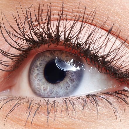 Wimpernverlängerung 1:1 Technik Stuttgart OXGE.com Special Offers, Deals & Discounts in Germany
