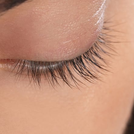 Wimpernverlängerung Köln OXGE.com Special Offers, Deals & Discounts in Germany