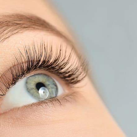 Bis zu 48% Rabatt auf Wimpernlifting bei Beauty By Gul Köln OXGE.com Special Offers, Deals & Discounts in Germany