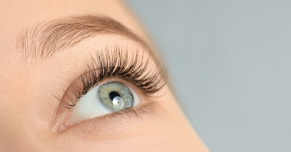 Bis zu 48% Rabatt auf Wimpernlifting bei Beauty By Gul Köln OXGE.com Special Offers, Deals & Discounts in Germany