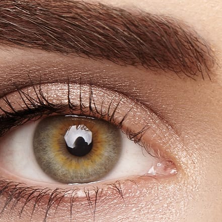 Powder Brows-Behandlung, optional mit Nachbehandlung, bei Kala Studio Hamburg OXGE.com Special Offers, Deals & Discounts in Germany