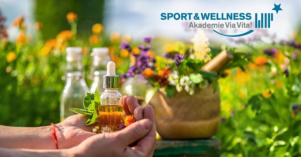 Online-Ausbildung Aromatherapeut/In im Selbststudium mit Zertifikat National Deal OXGE.com Special Offers, Deals & Discounts in Germany