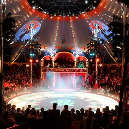 Circus Theater Roncalli: Ticket vom 14.-30.05.2025 Aachen OXGE.com Special Offers, Deals & Discounts in Germany