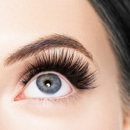 1 Lashlifting inkl. Färben oder 2 Lashliftings für 1 oder 2 Personen Köln OXGE.com Special Offers, Deals & Discounts in Germany