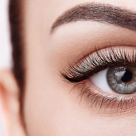 1 oder 2 Wimpernliftings inkl. Färben für 1 Person Hamburg OXGE.com Special Offers, Deals & Discounts in Germany