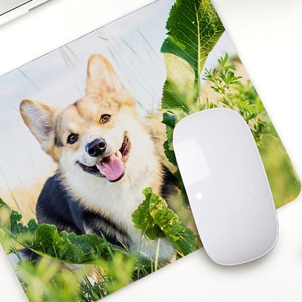 1x, 2x oder 4x Mousepad mit eigenem Foto National Deal OXGE.com Special Offers, Deals & Discounts in Germany