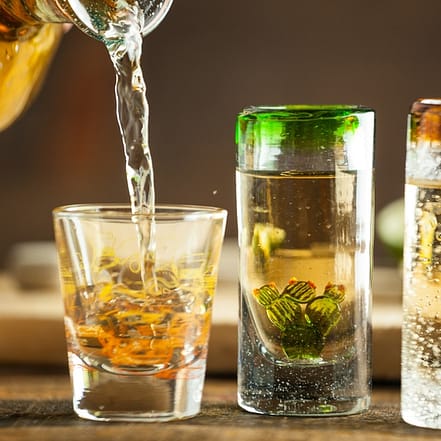 2,5 Std. Wodka-, Tequila- und Mezcal-Tasting Köln OXGE.com Special Offers, Deals & Discounts in Germany