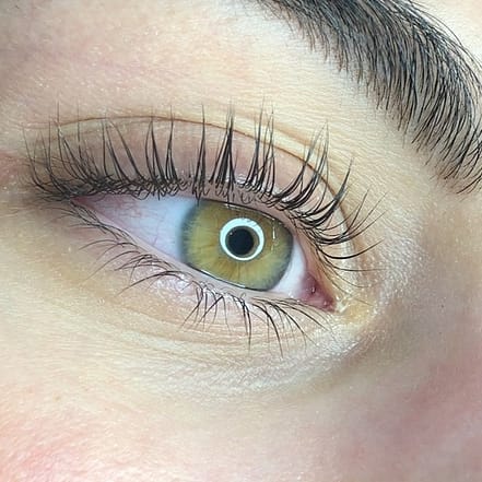 60 Min. Wimpern-Lifting Hamburg OXGE.com Special Offers, Deals & Discounts in Germany