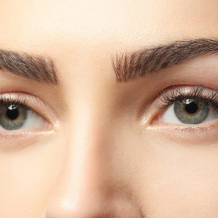 Wertgutschein über 20, 40 oder 60 € für Waxing an Zonen nach Wahl Frankfurt OXGE.com Special Offers, Deals & Discounts in Germany 2