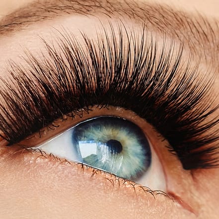 Augenbrauen- und/oder Wimpern-Lifting inkl. Färben für 1 Person Stuttgart OXGE.com Special Offers, Deals & Discounts in Germany