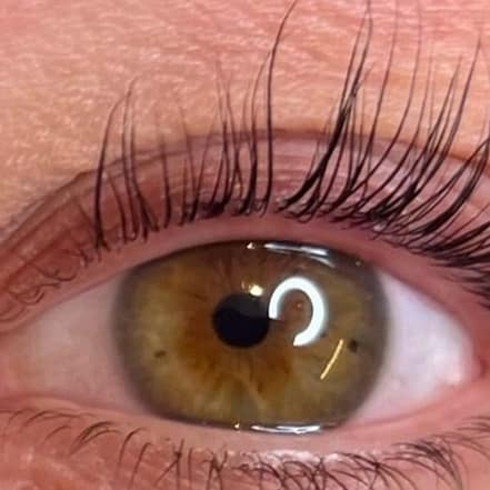 Augenbrauen- und/oder Wimpern-Lifting inkl. für 1 Person Hamburg OXGE.com Special Offers, Deals & Discounts in Germany