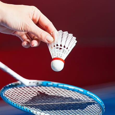 Bis zu 24% Rabatt auf den Badminton – Freizeit bei Badminton Oase Mannheim OXGE.com Special Offers, Deals & Discounts in Germany