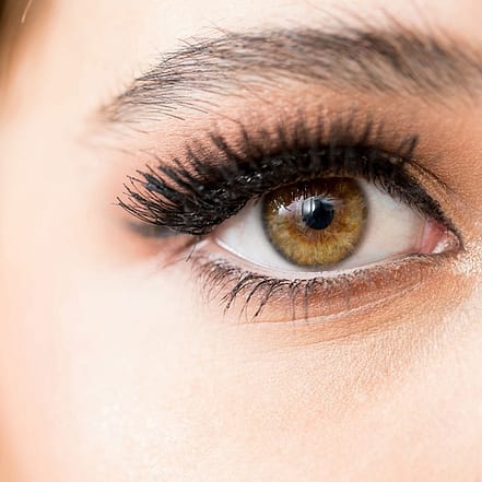 Bis zu 46% Rabatt auf den Wimpernwelle bei Haselnuss Honigblond Friseure Frankfurt OXGE.com Special Offers, Deals & Discounts in Germany