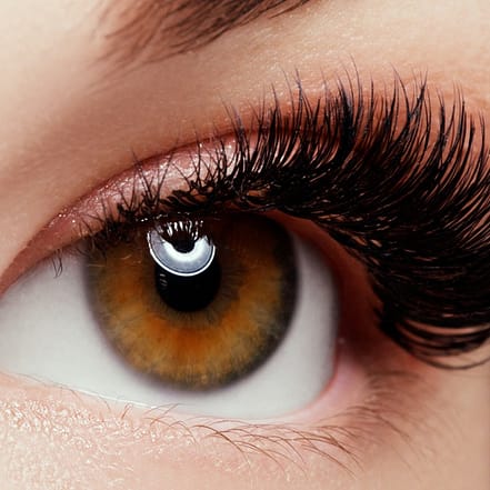 Bis zu 50% Rabatt auf den Wimpernverlängerungen bei Najat Nehme Düsseldorf OXGE.com Special Offers, Deals & Discounts in Germany
