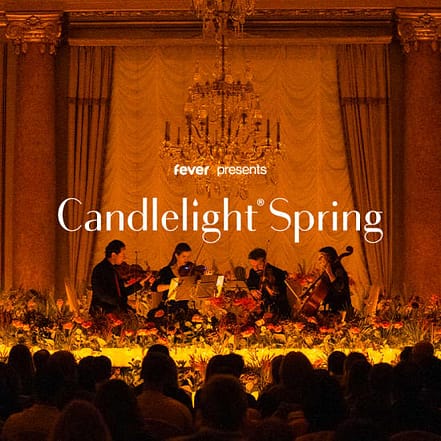 Candlelight Spring: Tribut an Adele at Marmorsaal, Stuttgart, Germany OXGE.com Special Offers, Deals & Discounts in Germany