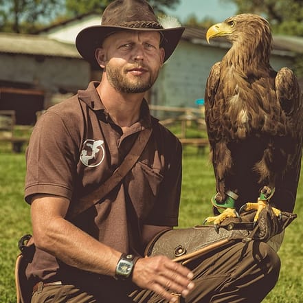 Falknerei-Erlebnis mit Flug-Show Dresden OXGE.com Special Offers, Deals & Discounts in Germany