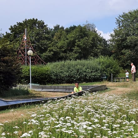 Familienspaß: 3 oder 6 Fahrten auf der Rodelbahn für 2 oder 4 Personen Dresden OXGE.com Special Offers, Deals & Discounts in Germany