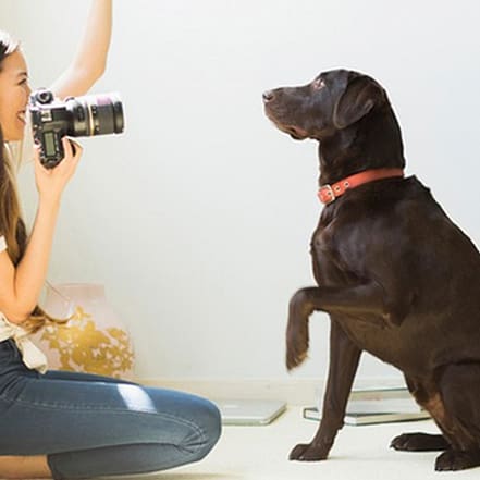 Herunterladbarer Online-Kurs: Tierfotografie mit praktischen Tipps National Deal OXGE.com Special Offers, Deals & Discounts in Germany