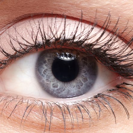 Lash-Laminierung für Wimpern Mannheim OXGE.com Special Offers, Deals & Discounts in Germany