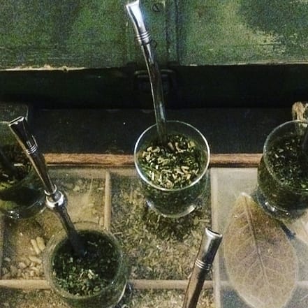 Mate-Teeseminar inkl. Verkostung und 15% auf dem Shop Berlin OXGE.com Special Offers, Deals & Discounts in Germany