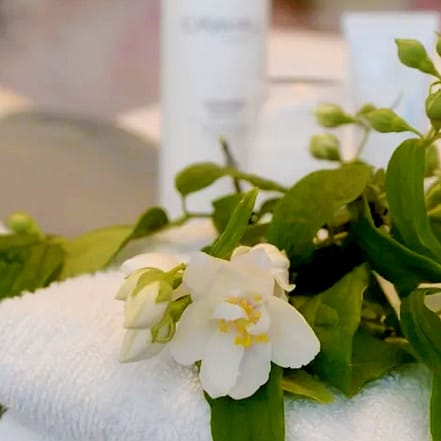 Microneedling od. Aqua-Facial, opt. inkl. Augenbrauen & Wimpern zupfen Frankfurt OXGE.com Special Offers, Deals & Discounts in Germany