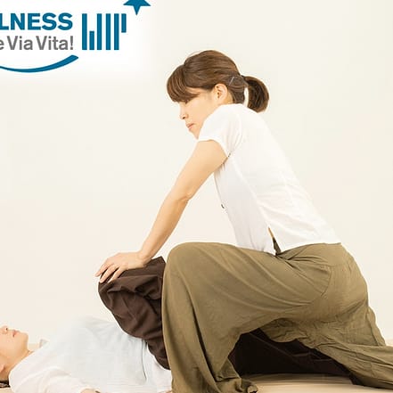 Online-Ausbildung: Shiatsu-Massage National Deal OXGE.com Special Offers, Deals & Discounts in Germany