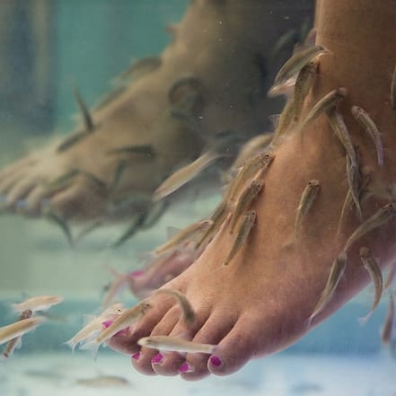 Fisch-Spa für Zwei Personen Stuttgart OXGE.com Special Offers, Deals & Discounts in Germany