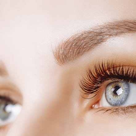 Perfekt gestylte Wimpern und / oder Augenbrauen mit einem Lifting Hamburg OXGE.com Special Offers, Deals & Discounts in Germany