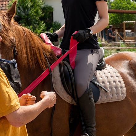 Reiten – Freizeit Bremen OXGE.com Special Offers, Deals & Discounts in Germany