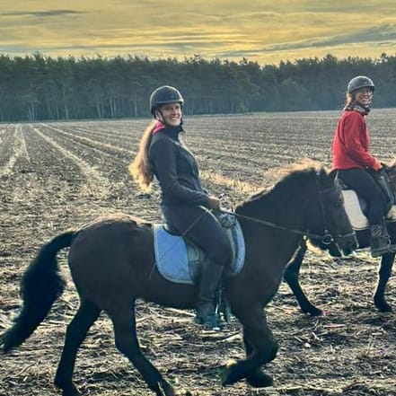 Reiten – Training Hamburg OXGE.com Special Offers, Deals & Discounts in Germany