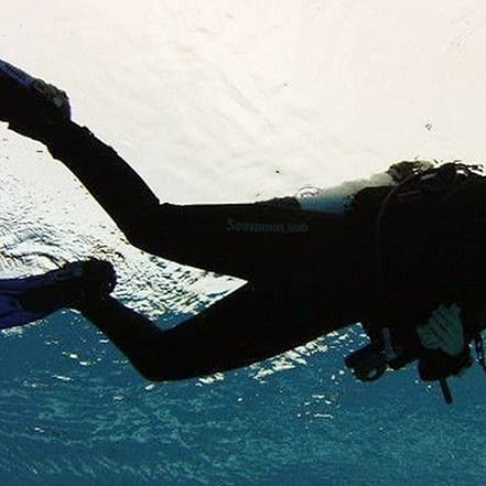 Schöne Unterwasserwelt: Tauch-Schnupperkurs für 1, 2 oder 4 Personen Nürnberg OXGE.com Special Offers, Deals & Discounts in Germany